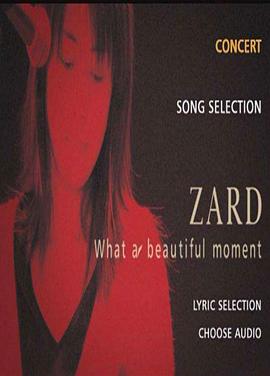 ZARD2004年日本巡回演唱会