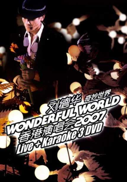刘德华：奇妙世界2007香港演唱会