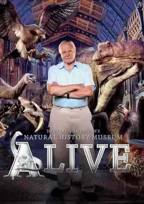 爱丁保罗夫爷爷的博物馆奇妙夜