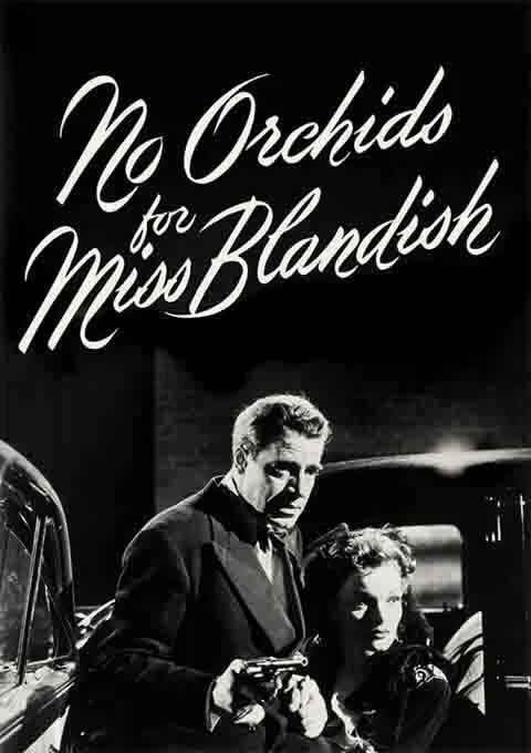 没有布兰蒂什小姐的兰花